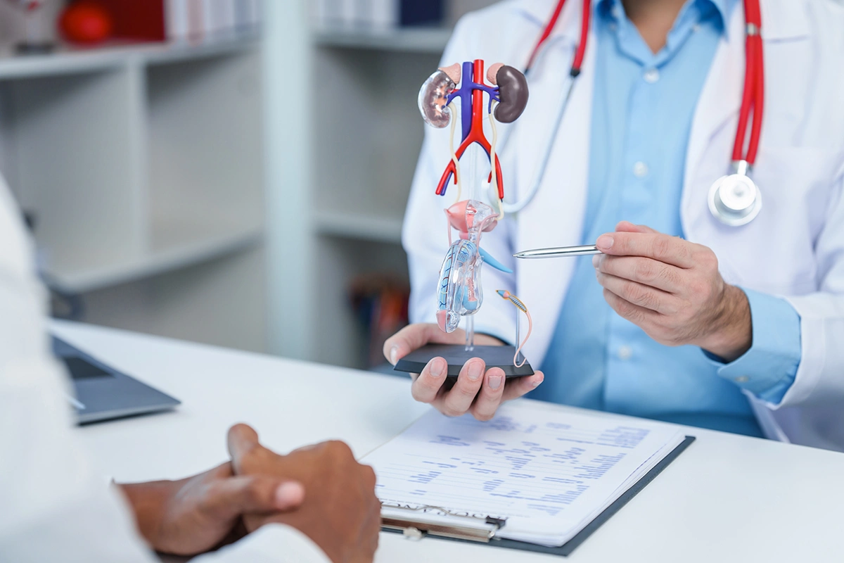 Close-up of doctor explaining prostate health to a male patient during a clinic consultation.